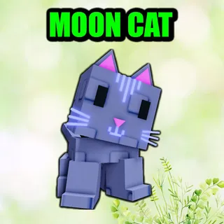MOON CAT
