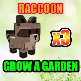 RACCOON GROW A GARDEN