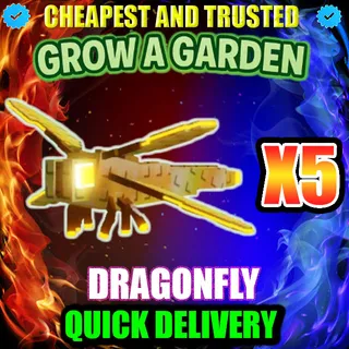 DRAGONFLY