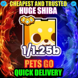 HUGE SHIBA PETS GO