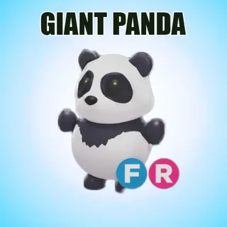FR GIANT PANDA