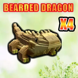 BEARDED DRAGON