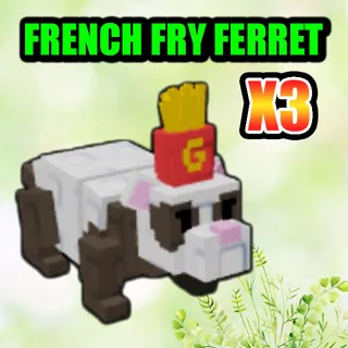 FRENCH FRY FERRET