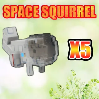 SPACE SQUIRREL