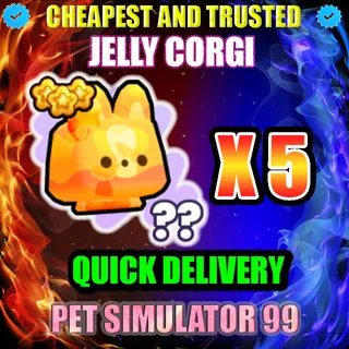 JELLY CORGI X5 |PS99
