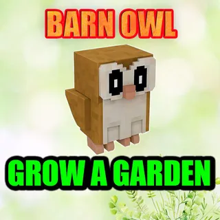 BARN OWL  GROW A GARDEN