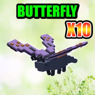 BUTTERFLY