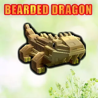 BEARDED DRAGON
