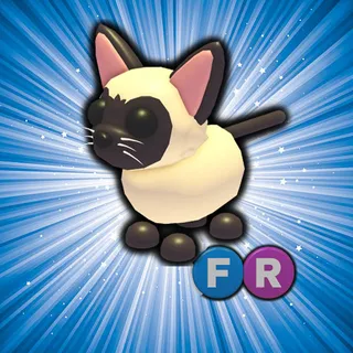 FR SIAMESE CAT