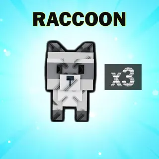 RACCOON