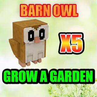 BARN OWL  GROW A GARDEN
