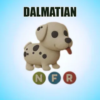 NFR DALMATIAN