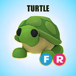 FR TURTLE