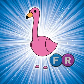 FR FLAMINGO