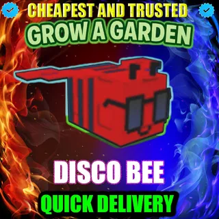 Disco Bee