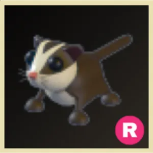 R Sugar Glider