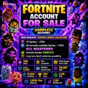 MY FORTNITE ACCOUNT