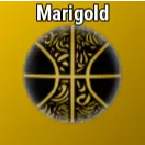 Marigold Ball | Basketball Legends
