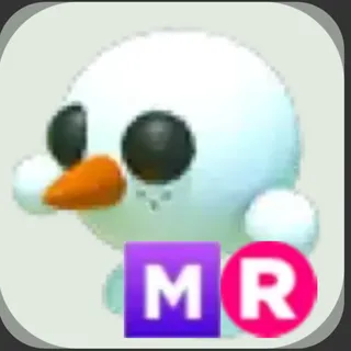 MR Snowball Pet