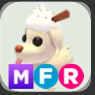 MFR Eggnog Dog