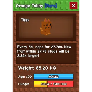 HUGE 5s CD TABBY WITHOUT TOY