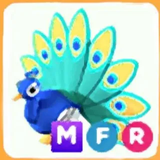 MFR Peacock