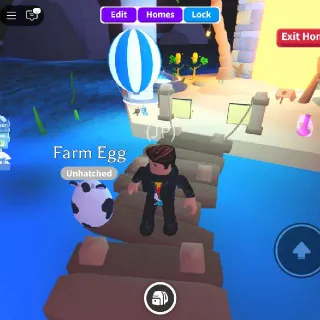 Farm Egg