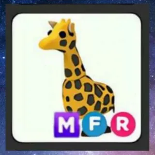 MFR Giraffe