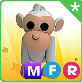 MFR Albino Monkey