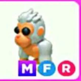 MFR Albino Gorilla