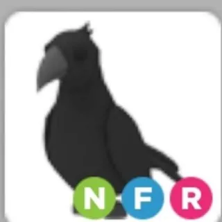 NFR Crow