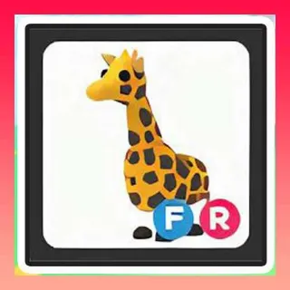 FR Giraffe