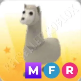 MFR Llama