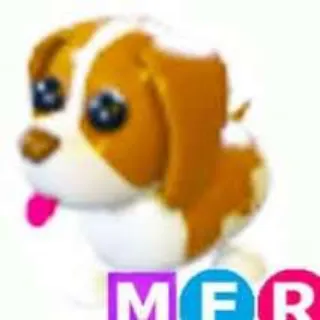 MFR Black & Brown Spring