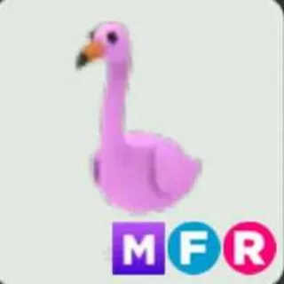 MFR Flamingo