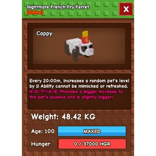 HUGE NIGHTMARE FRENCH FRY FERRET 