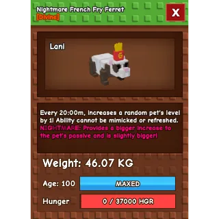 HUGE NIGHTMARE FRENCH FRY FERRET 