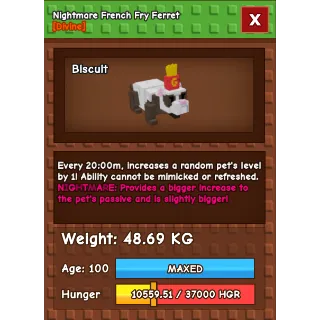 HUGE NIGHTMARE FRENCH FRY FERRET 