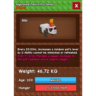 HUGE NIGHTMARE FRENCH FRY FERRET 