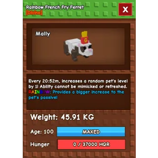 HUGE RAINBOW FRENCH FRY FERRET 