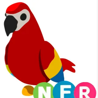 NFR Parrot Cheap!!!
