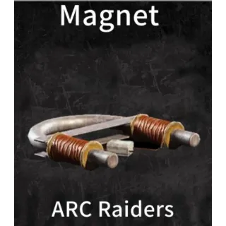 ARC Raiders Magnet*30