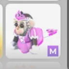 princess capuchin monkey