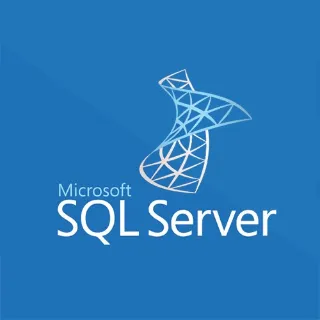 MS SQL SERVER 2022 STANDARD 1 PC 1 LICENSE