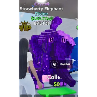 Go Up For Brainrots