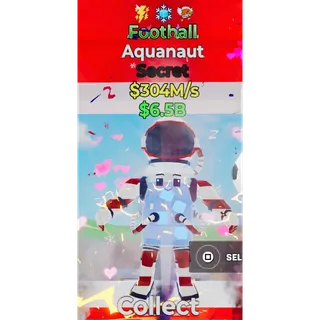 Football Aquanaut 304M/s