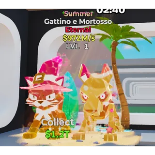 Summer Gattino e Mortosso
