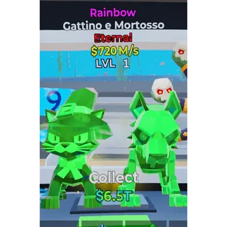 Rainbow Gattino e Mortosso