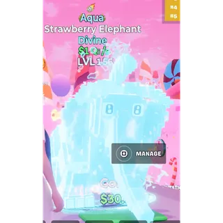 Go Up For Brainrots 