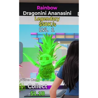 Rainbow Dragonini Ananasini